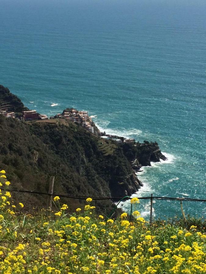 Appartamento Vacanze "Borgo Cinque Terre" Volastra Manarola Exterior photo